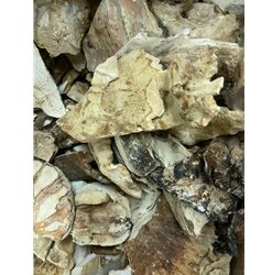 Dried Chicken Of The Woods Wild USA