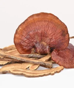 Dried Reishi Mushrooms